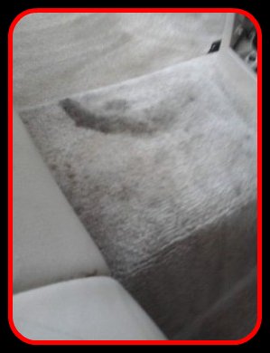 carpet with stain to be cleaned by Fifty Dollar Detail.